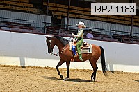 09r2-1183 proof