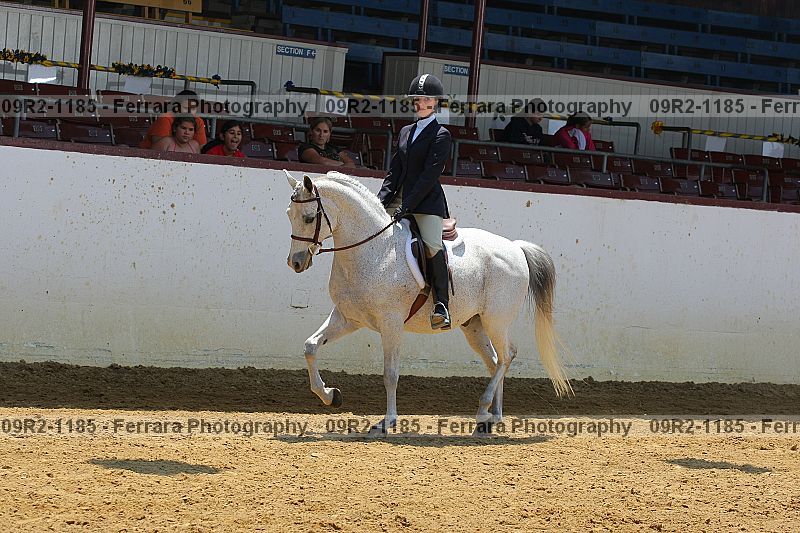 Proof 09r2-1185