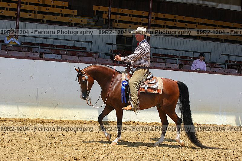 Proof 09r2-1204