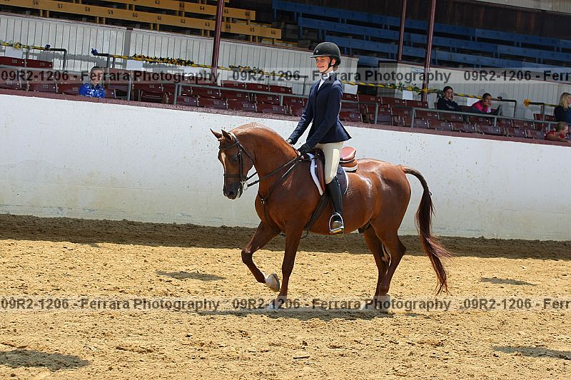 Proof 09r2-1206