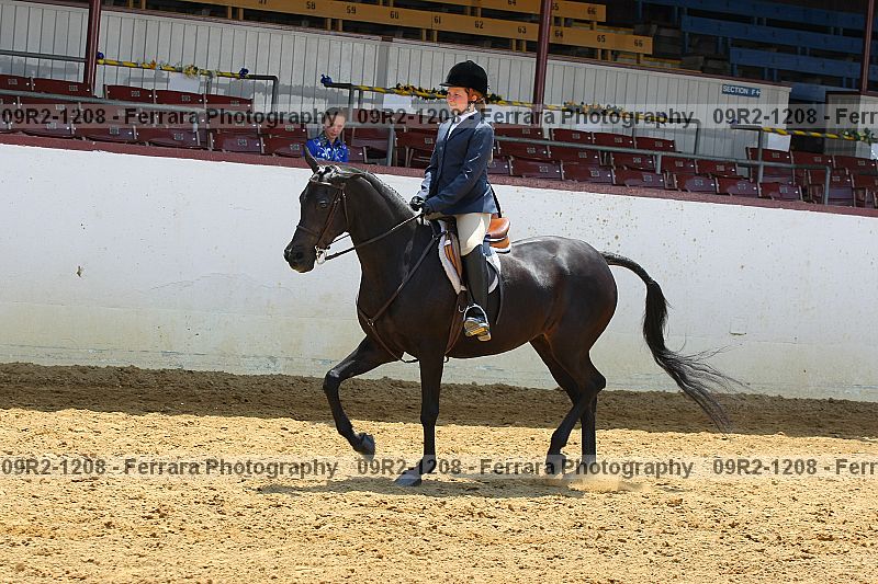 Proof 09r2-1208