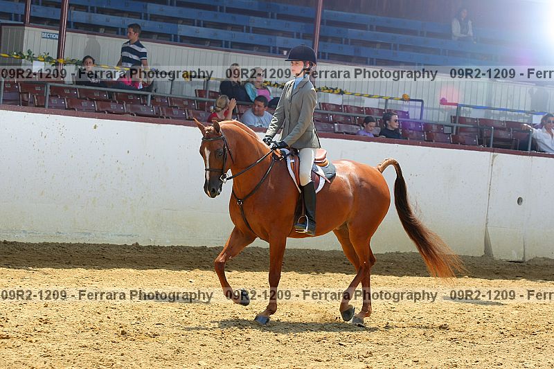 Proof 09r2-1209