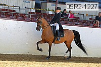 09r2-1227 proof