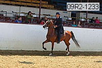 09r2-1233 proof