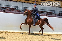 09r2-1242 proof