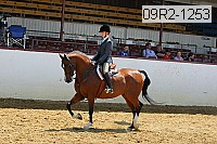 09r2-1253 proof