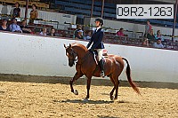 09r2-1263 proof
