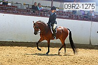 09r2-1275 proof