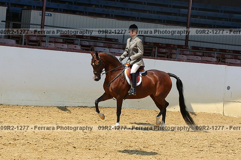 Proof 09r2-1277