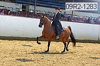 09r2-1283 proof
