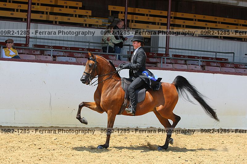 Proof 09r2-1285
