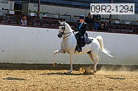 09r2-1294 proof