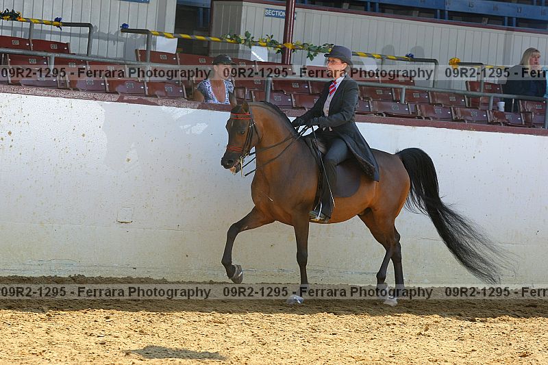 Proof 09r2-1295