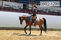 09r2-1299 proof