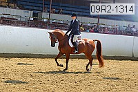 09r2-1314 proof