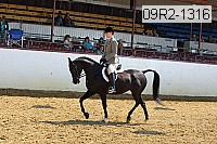 09r2-1316 proof