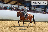 09r2-1317 proof