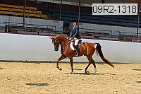 09r2-1318 proof