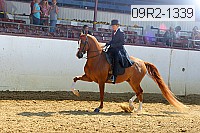 09r2-1339 proof