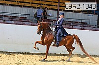09r2-1343 proof