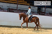 09r2-1383 proof