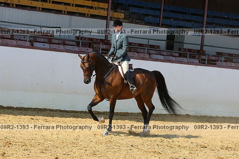 Proof 09r2-1393
