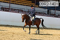 09r2-1401 proof