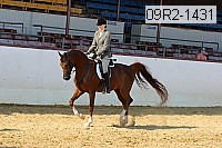 09r2-1431 proof