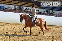 09r2-1446 proof