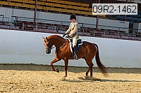 09r2-1462 proof