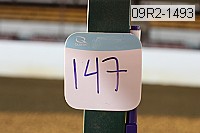 09r2-1493 proof