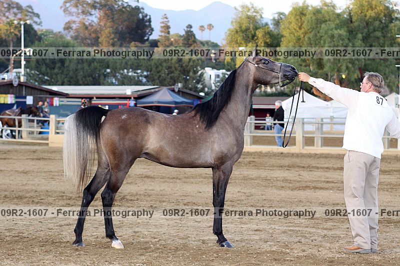 Proof 09r2-1607