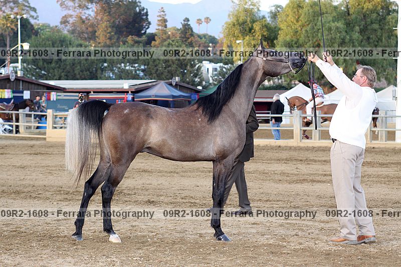 Proof 09r2-1608