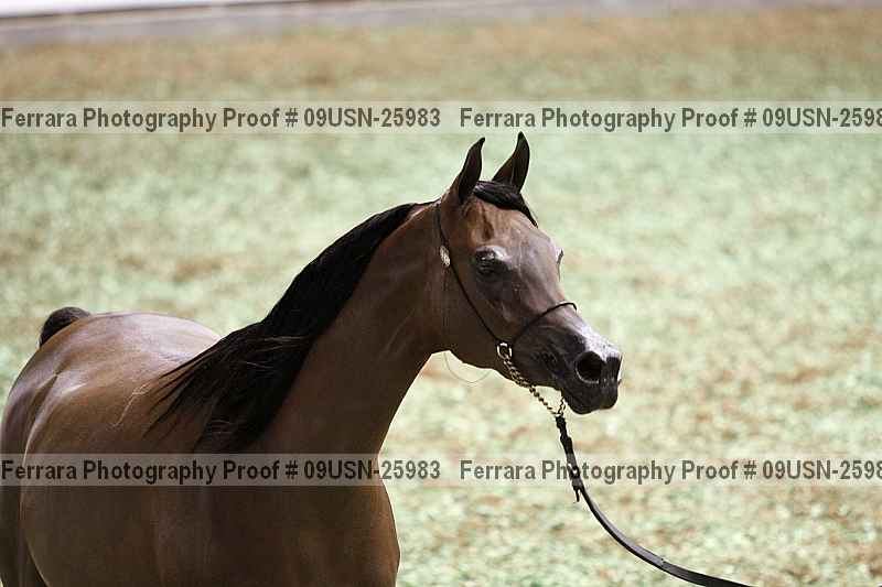 Proof 09usn-25983