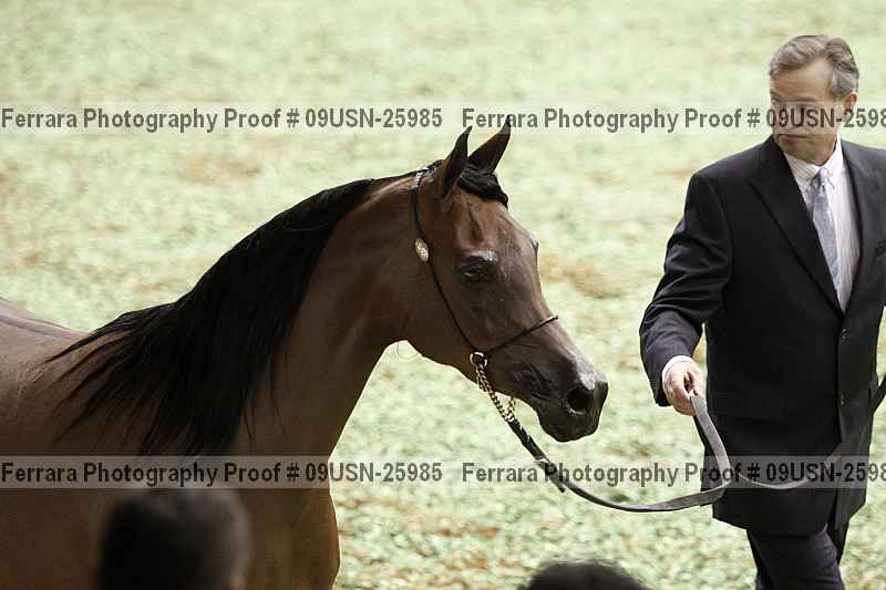 Proof 09usn-25985