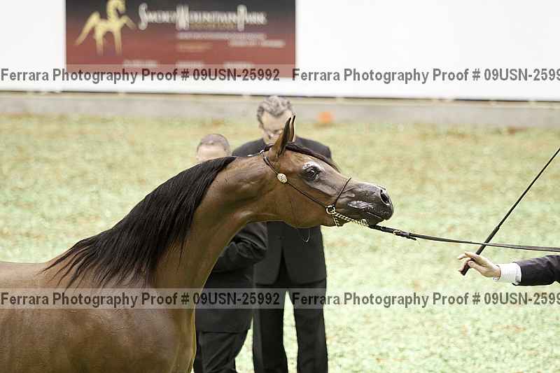 Proof 09usn-25992