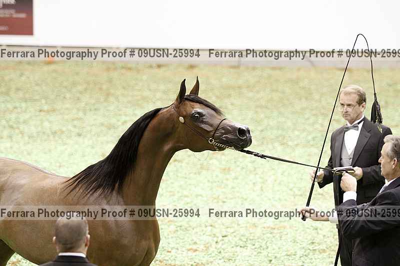 Proof 09usn-25994