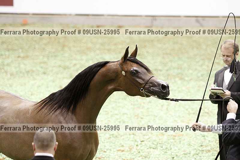 Proof 09usn-25995