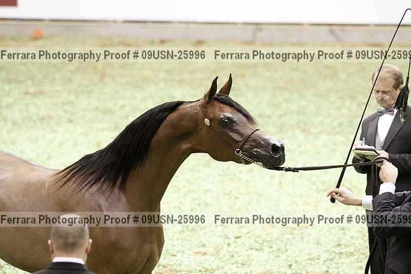 Proof 09usn-25996