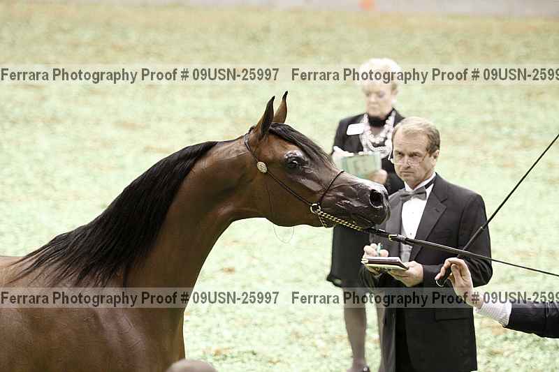 Proof 09usn-25997