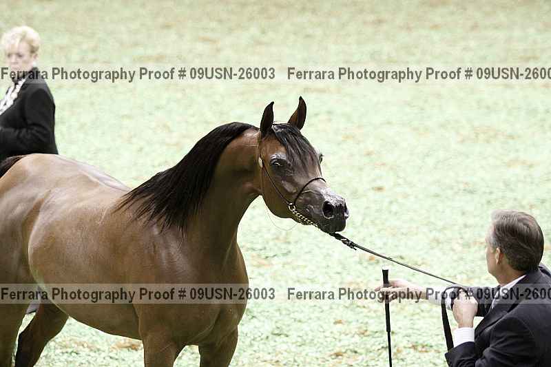 Proof 09usn-26003
