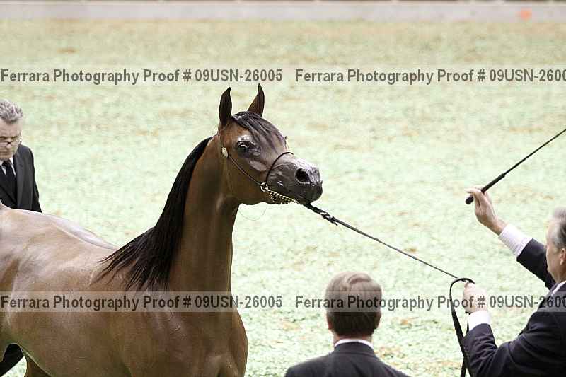 Proof 09usn-26005