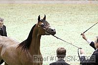 09usn-26005 proof