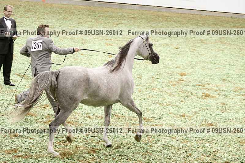 Proof 09usn-26012