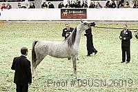 09usn-26019 proof