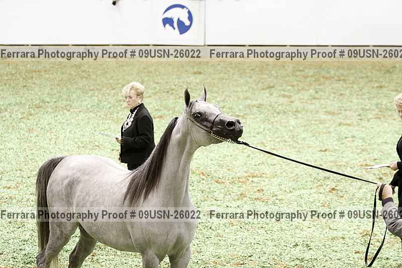 Proof 09usn-26022