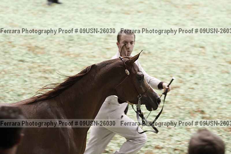 Proof 09usn-26030