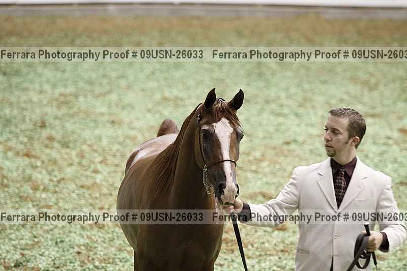 Proof 09usn-26033