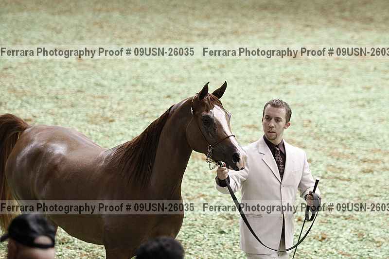 Proof 09usn-26035
