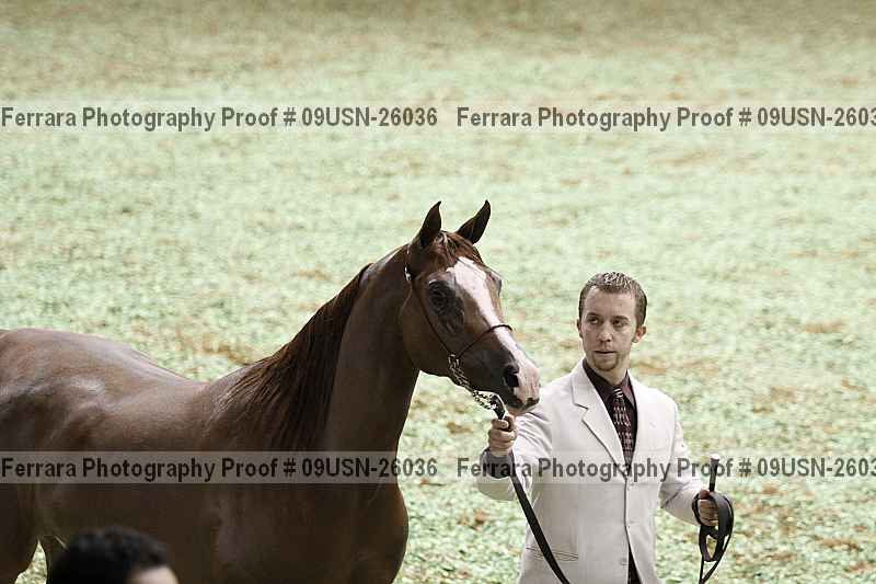 Proof 09usn-26036
